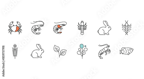 Set of minimalist line icons representing various animals and plants including seafood a rabbit and different types of leaves.