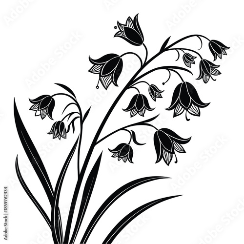 Black silhouette bellflower floral art vector illustration on transparent background with detailed garden blossom