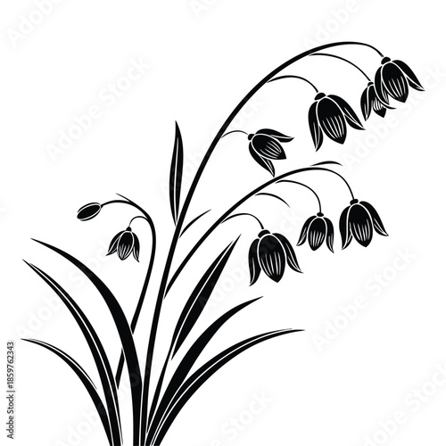 Drooping bell flower vector silhouette design featuring hanging blossoms and arching stems for garden decoration