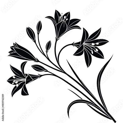 Lily flower silhouette vector illustration with blooming petals and buds for elegant botanical home decor prints