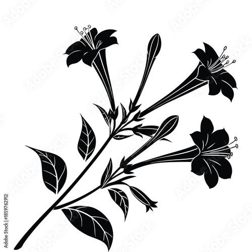 Monochrome silhouette of four oclock flowers vector illustration botanical branch graphic element simple contour art