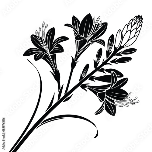 Stylized black silhouette of trumpet flowers and dense raceme spike vector graphic illustrating exotic summer garden botany design