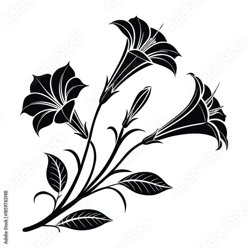 Black silhouette of three large trumpet shaped datura flowers and buds on transparent background
