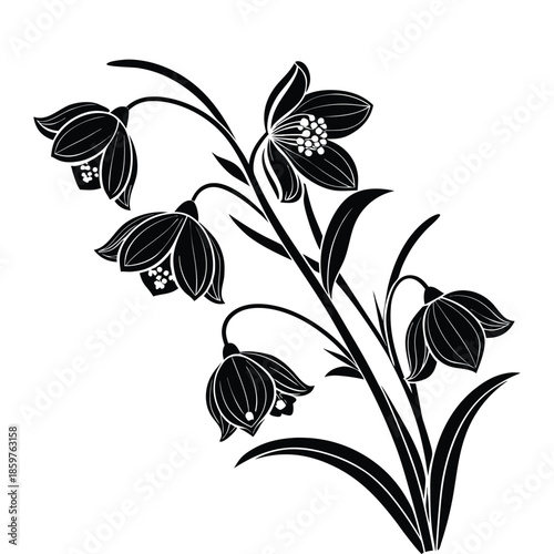 Black silhouette lily flowers design vector illustration of garden blooms with stems and leaves on transparent bg