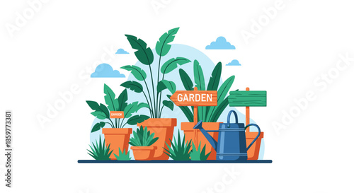 Beautiful indoor or patio garden arrangement with various green plants in terracotta pots and a blue watering can on a white background.