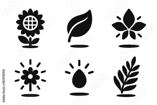 Levitating Nature Icons. Solid style icons of levitating natural elements in : sunflower, floating leaf, prism petal, radiant