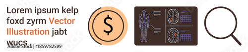 Data analysis, medical research, healthcare finances, diagnostics, visual presentation, innovation. Icons of a dollar sign, medical scans and a magnifying glass. Financial analysis and medical