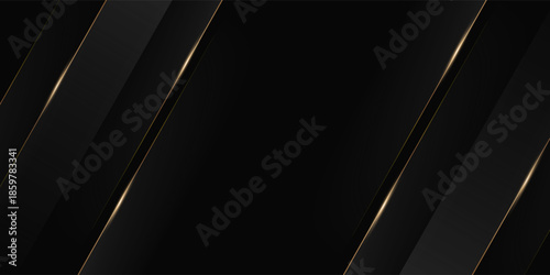 A black background with thin lines that curve diagonally to the right and left. These lines are gold and white, with brilliant shine and gradients, creating a luxurious feel.