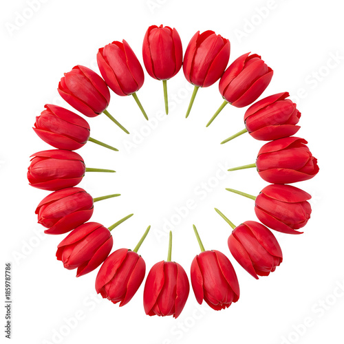Red Tulips Arranged in a Circle on White Background With Green Leaves Surroun...