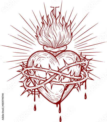 Hand drawn illustration of sacred heart
