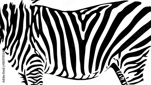 Vector illustration of seamless zebra pattern
