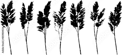 Monochrome stencil illustration of cut reed stalks for natural design and decoration