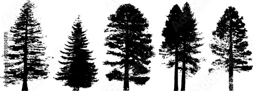 Black and white stencil illustration of deep forest tree trunk silhouettes