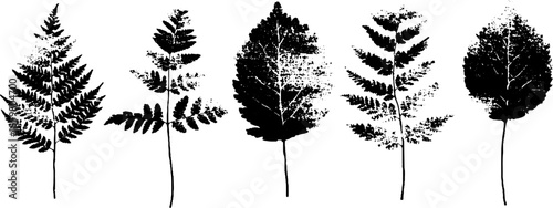 Black and white stencil leaf illustrations featuring delicate frost patterns