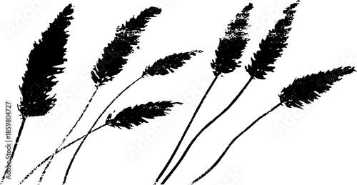 Black and white stencil illustration of delicate reed shadows for nature-inspired design