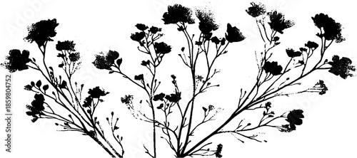 Black and white stencil of delicate rime ice flowers - design for posters or cards