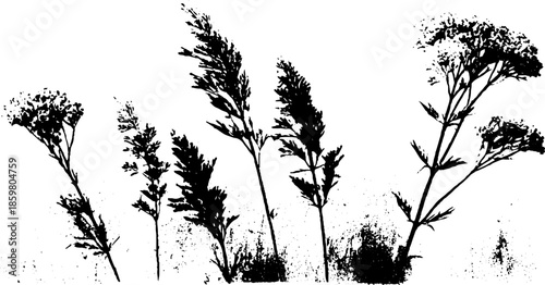 Delicate rime ice on grass stencil silhouette for urban art and design