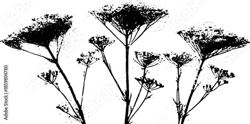 Black and white stencil of delicate rime ice gro