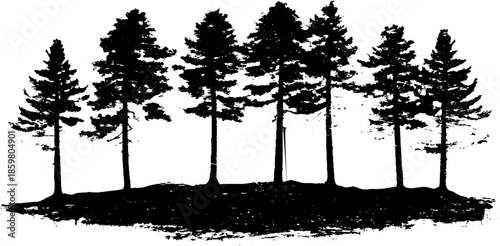 Black and white stencil illustration of dense old forest floor featuring tall pine trees