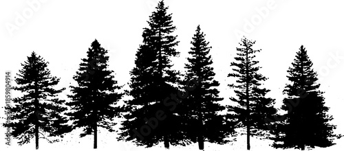 Black and white stencil illustration of dense pine treetops for nature-inspired design
