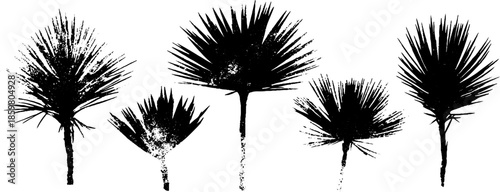 Black and white stencil illustration of desert grasses for creative design projects