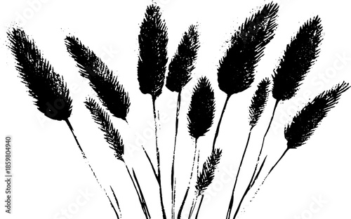 Elegant black and white stencil illustration of desert grasses for nature art and design