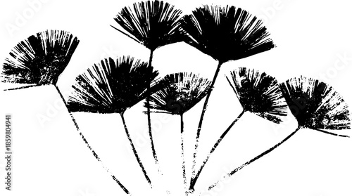Black and white stencil illustration of desert grasses