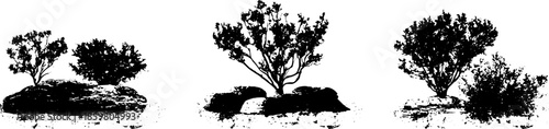 Black and white stencil illustration of desert shrubs silhouette for nature design