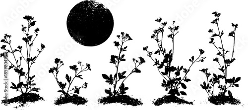 Desert shrubs silhouette with sun in black and white stencil art for posters or prints