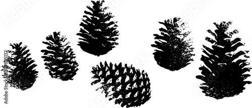 Black and white stencil illustration of dried pine cones on white background