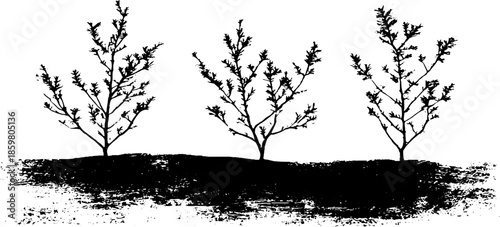 Black and white stencil art of dried pine branches in minimalist design