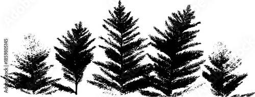 Black and white stencil of dried pine branches for art and design projects