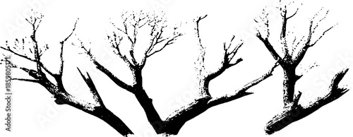 Black and white stencil illustration of dried woodland stems for nature art projects