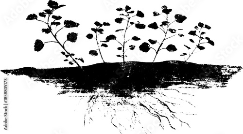 Black and white stencil illustration of drifting aquatic plant design