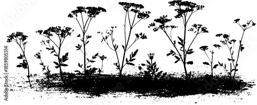 Black and white stencil of dry shrub clusters for rustic design and decoration