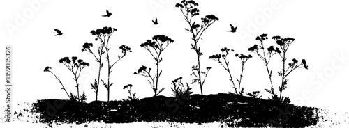 Black and white stencil illustration of dry shrub clusters with birds for nature art design