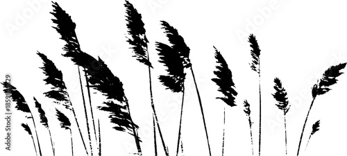Black and white stencil illustration of dune grasses in wind for nature design