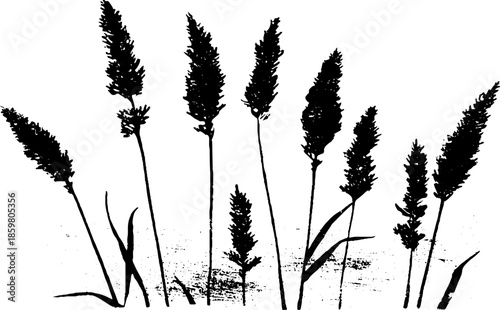 Black and white stencil illustration of grass silhouettes with early snow