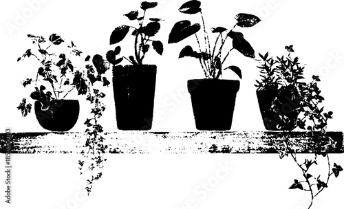 Black and white stencil illustration of houseplants displayed on a rustic shelf