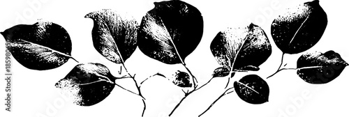Black and white stencil illustration of large curled dried leaves