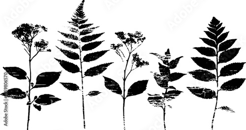 Black and white stencil illustration of layered foliage silhouettes for nature-themed design