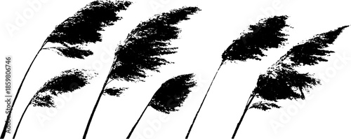 Black and white stencil illustration of long coastal grasses for nature-inspired designs