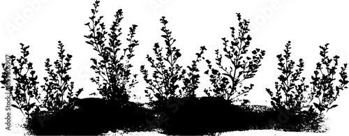 Black and white stencil of miniature desert shrubs for nature art and design projects