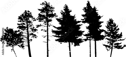 Minimal forest canopy silhouette in black and white for nature-themed design