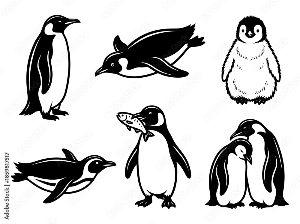 Obraz premium Collection of Penguin Illustrations in Realistic Line Art Style