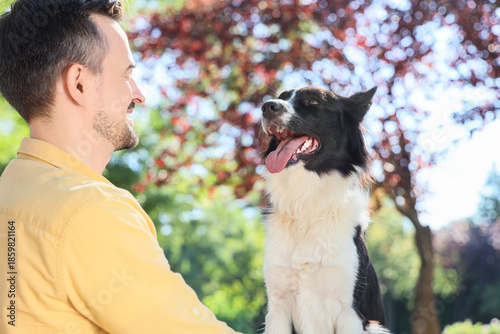 Cute Border Collie dog with...
