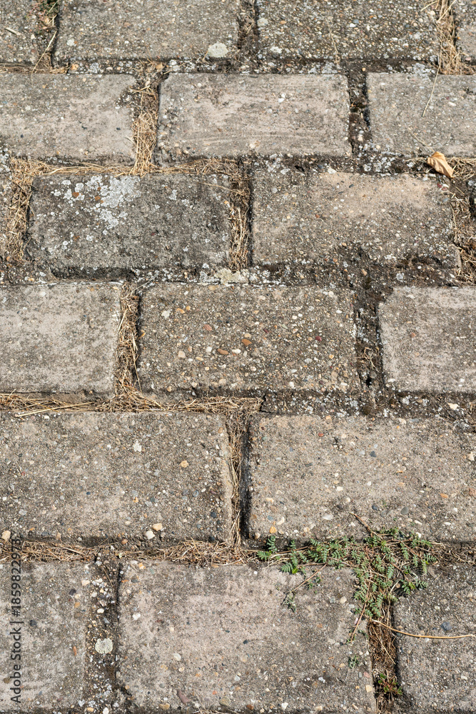 Fototapeta premium Old stone road, a beautiful background for the designer with empty space. Vertical photo