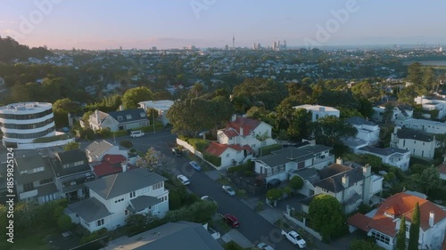 Aerial view of Remuera, Auckland, New Zealand, showcasing residential homes and the city skyline. The scene captures the urban landscape and residential architecture.