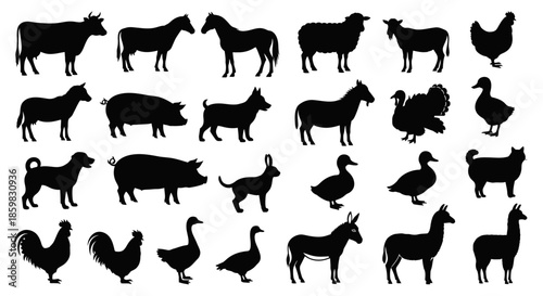 Silhouettes of various farm animals and livestock, including cows, horses, pigs, sheep, goats, chickens, ducks, geese, turkeys, dogs, cats, and llamas.