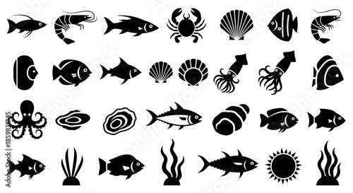Collection of black silhouettes of various marine animals and plants.